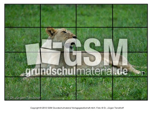 Puzzle-Löwe-2.pdf